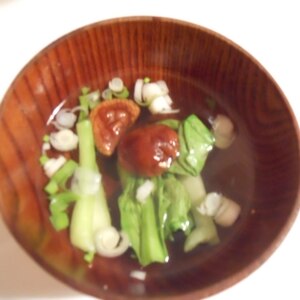 小松菜の節約スープ